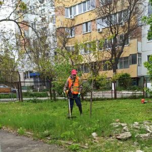 Cositul ierbii în IET nr.32, str. Mihai Sadoveanu, 2/2