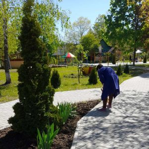 Acțiunile de salubrizare și igienizare a terenului aferent/adiacent al IET nr. 225