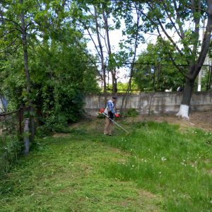 Salubrizarea și igienizarea teritoriilor aferente/adiacente ale IET nr. 30