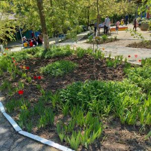 Terenul IET nr. 188 este amenajat și regulat îngrijit!