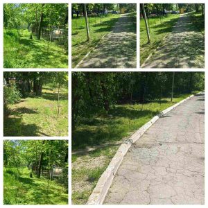 Salubrizarea terenului aferent/adiacent în instituția de educație timpurie nr. 179, str.M.Sadoveanu,1/1