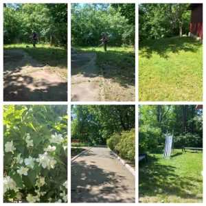 Terenul IET nr.179 este salubrizat, iarba proaspăt cosită