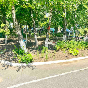 Lucrări de amenajare și salubrizare a terenului aferent/adiacent al IET nr. 135, str.Mihai Sadoveanu, 6/2